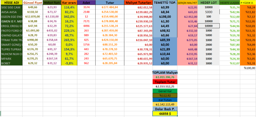 1 HAZİRAN 2024 41. AY PORTFÖY&nbsp;RAPORU.