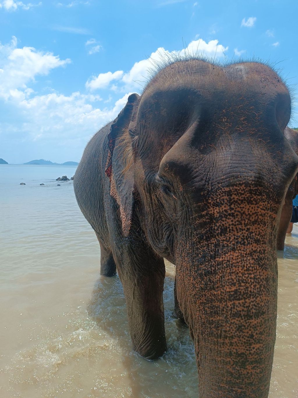 PHUKET/ TAYLAND GEZİM VE&nbsp;NOTLARIM.