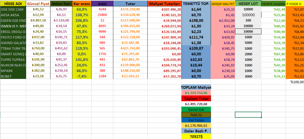 1 OCAK 2025 48. AY PORTFÖY&nbsp;RAPORU.