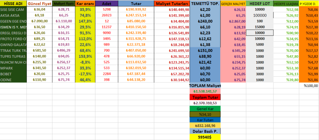 1 TEMMUZ  2025 54. AY PORTFÖY&nbsp;RAPORU.